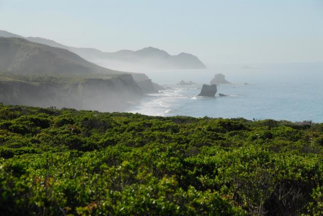 View south from Coastal Trail