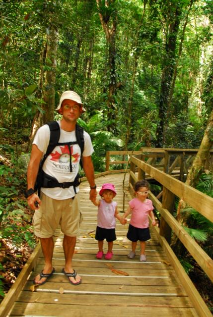 Jindbala Boardwalk, Daintree National Park