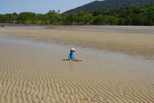 Cape Tribulation, Far Northern Queensland