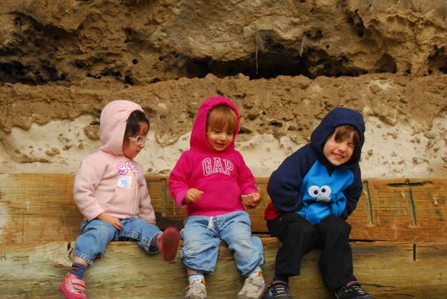 Umpherston Sinkhole, Mount Gambier, South Australia
