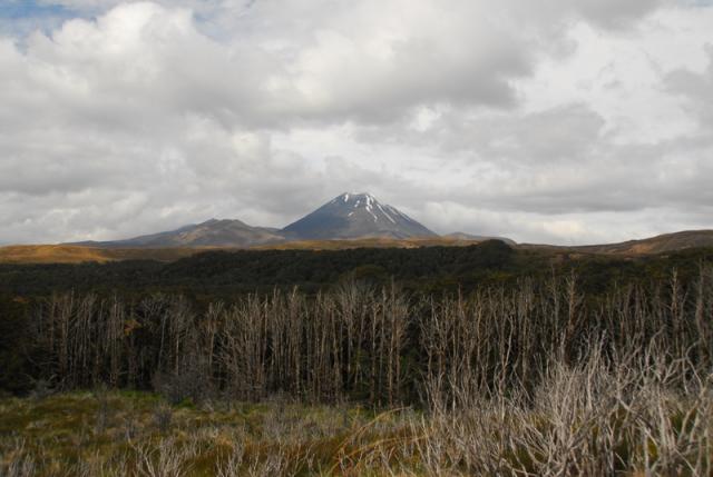 Mount Ngauruhoe, Tongariro National Park