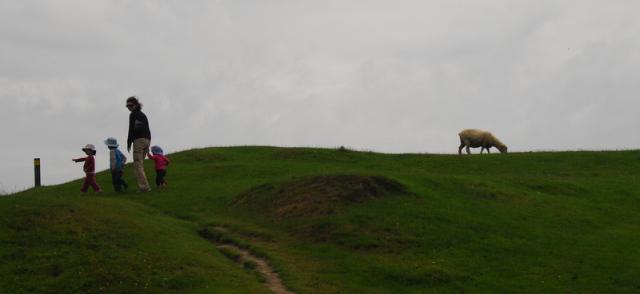 Wharakiri Beach, Golden Bay