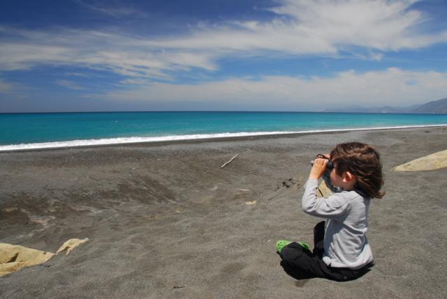 Searching for Whales, Near Kaikura
