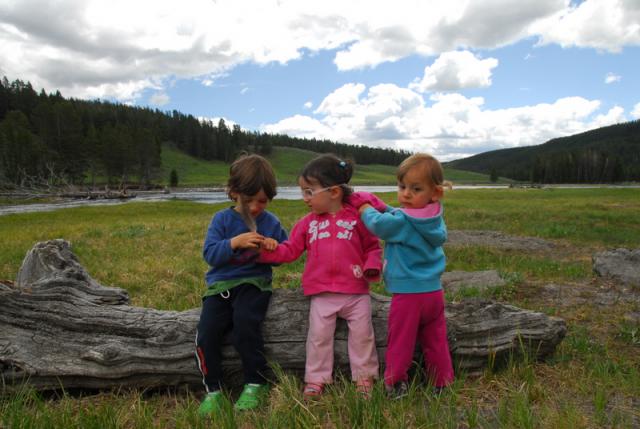 Nez Perce Picnic Area, Yellowstone National Park