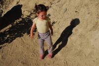 DSE_0196