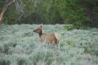 DSE_0240