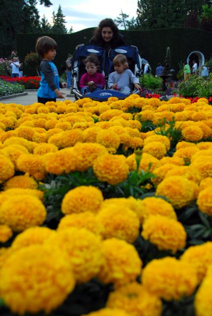 Buchart Gardens, Victoria, BC