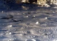 Bubbling Thermal Mud