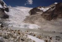 Laguna Glacier - 5100m
