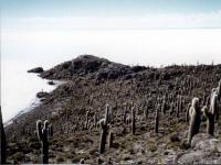 View from Isla Pescado