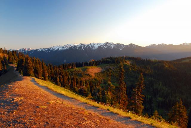 Hurricane Ridge, Olympic National Park Hurricane Ridge, Olympic National Park